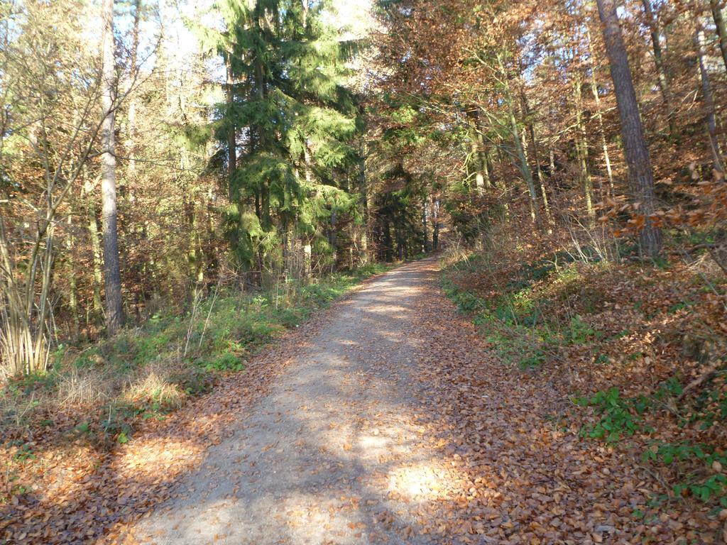 Blockhaus Bayerischer Wald Stamsried Buitenkant foto