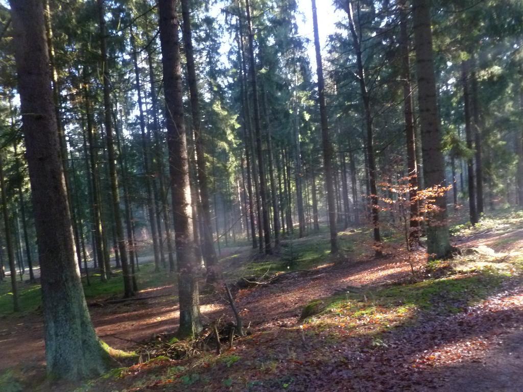 Blockhaus Bayerischer Wald Stamsried Buitenkant foto